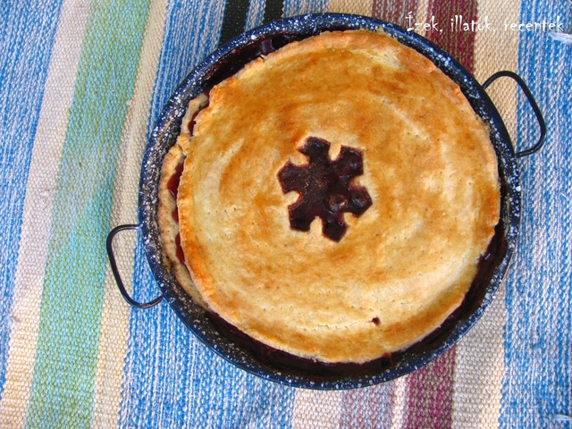 Meggyes pite