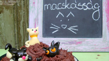 Édes macskásság és elő valentin nap csokis cupcakekkel
