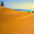 A corralejoi homokdűnék felfedezése