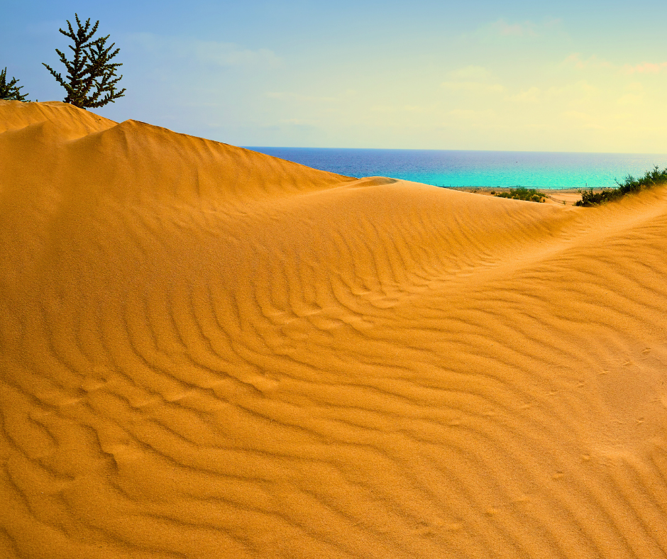 corralejo_dunes1.png