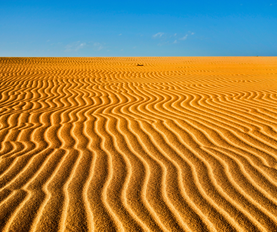 corralejo_dunes2.png
