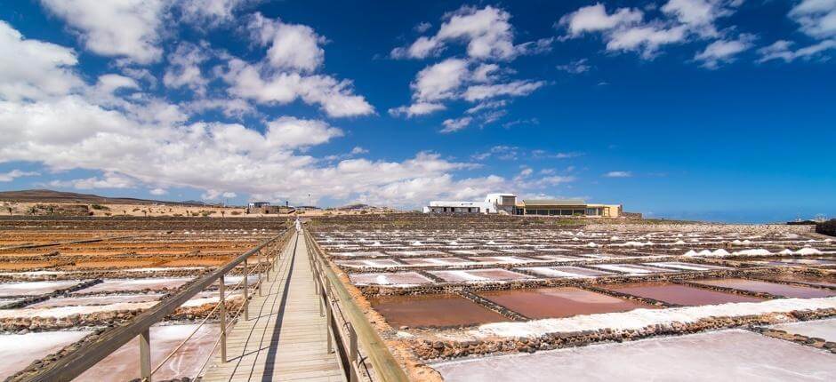 el_museo_de_la_sal-fuerteventura_4.jpg