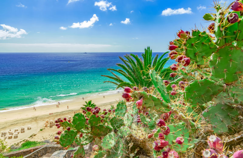 esquinzo-beach-fuerteventura.jpg