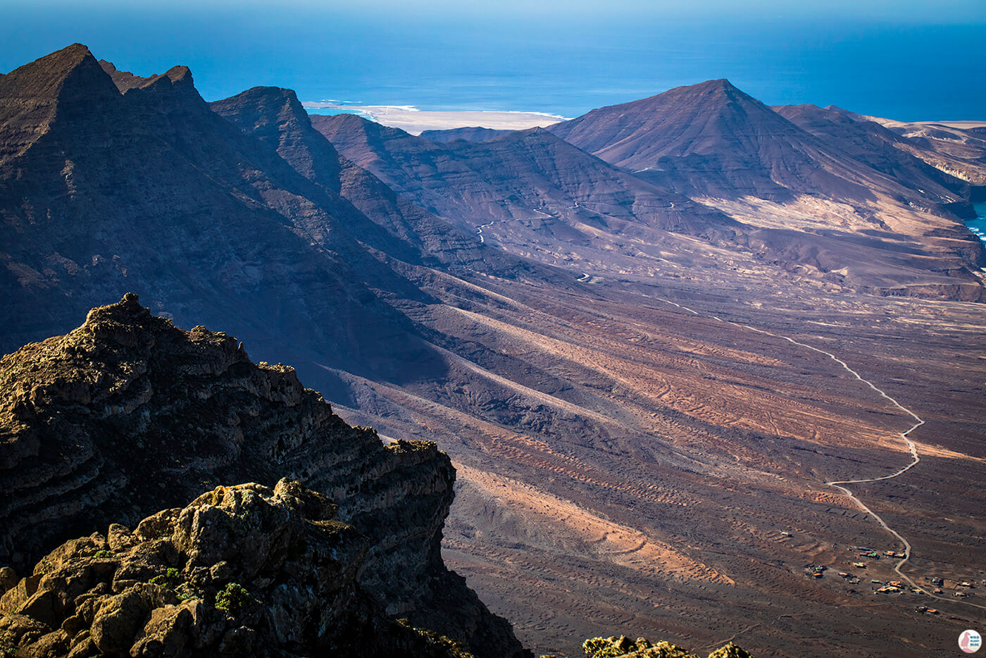 fuerteventura-zarza-main.jpg