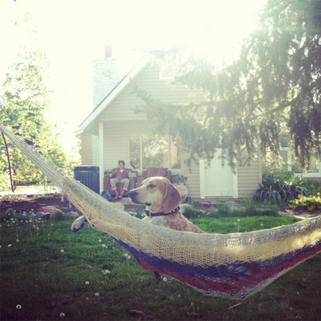 maddie-on-hammock.jpg