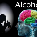 Megtalálták az alkoholfüggőség kialakulásáért felelős idegsejteket