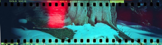 holga35mm001_small.jpg