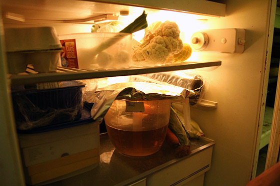 labor_fridge.jpg