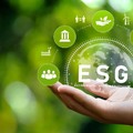 Kezdjük elveszíteni szem elől, hogy valójában mire való az ESG?