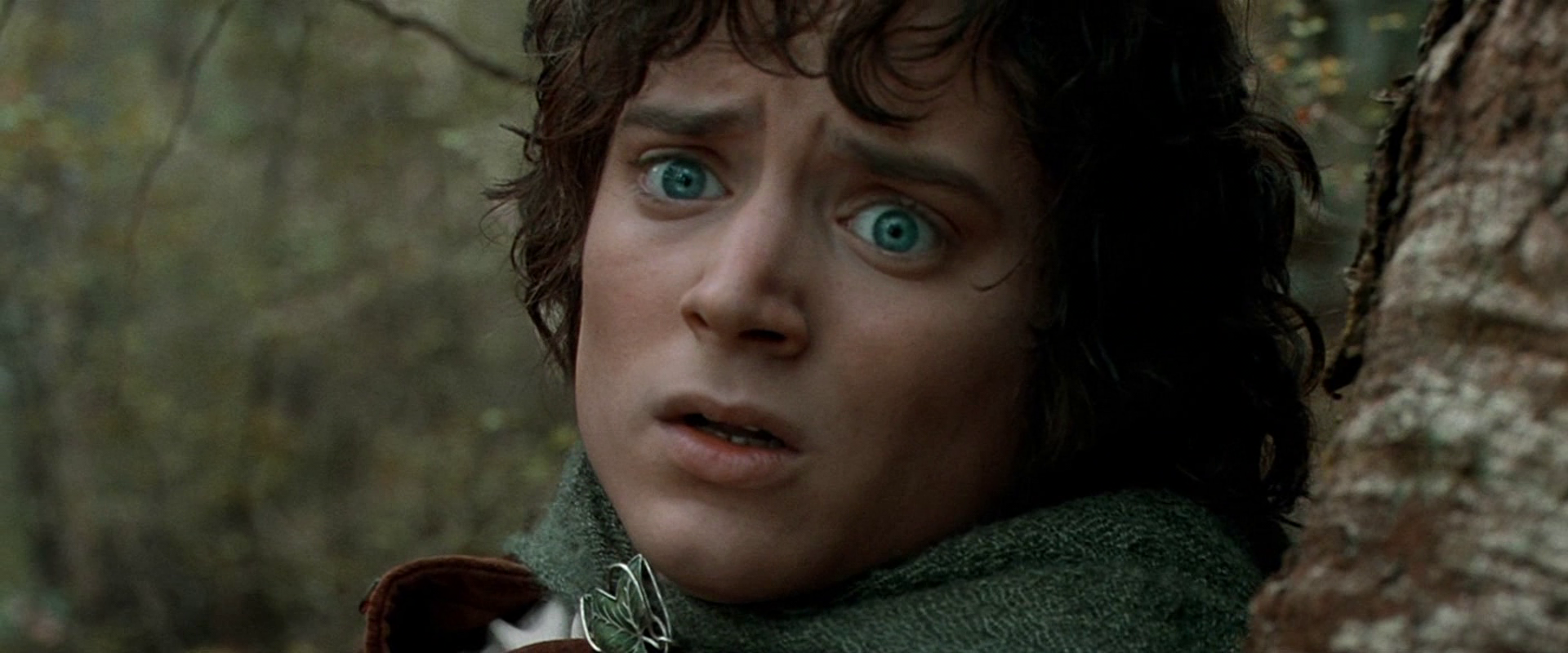 frodo.png