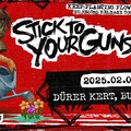 Jöttünk, láttunk, visszamennénk | No Cure, Elwood Stray, Bodysnatcher, Stick to Your Guns koncertbeszámoló