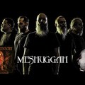 FOLYÉKONY SORSCSAPÁS | Meshuggah - Immutable (2022)