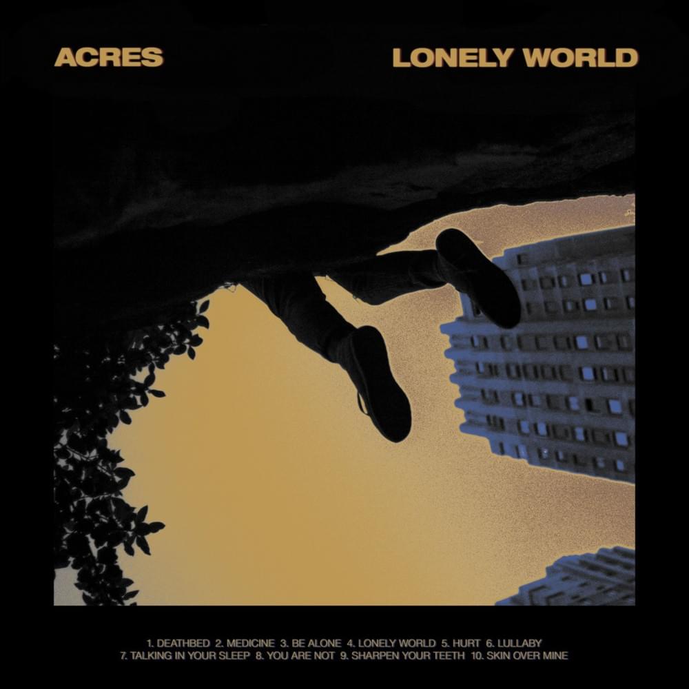 Érzelmi hullámvasút | Acres – Lonely World (2019)