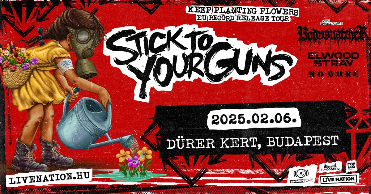 Jöttünk, láttunk, visszamennénk | No Cure, Elwood Stray, Bodysnatcher, Stick to Your Guns koncertbeszámoló