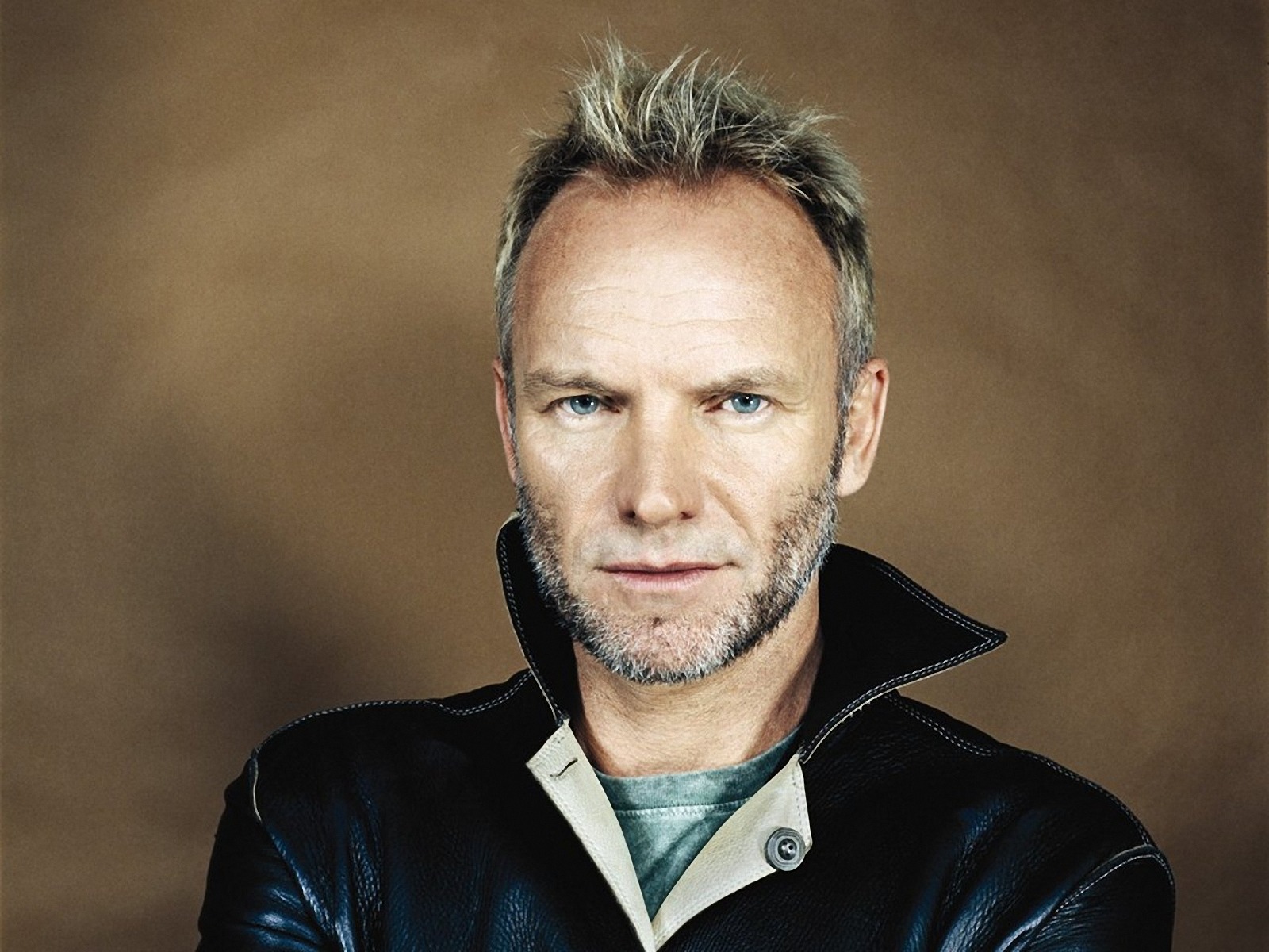 sting-007.jpg