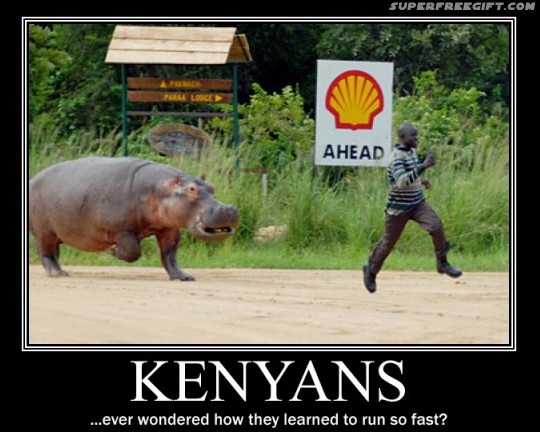 1-Funny-Africa-Wildlife-2-600x480.jpg