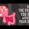 Egészséges bélrendszert szeretnél? Ez a kis videó elmondja mit tehetsz/ ehetsz !