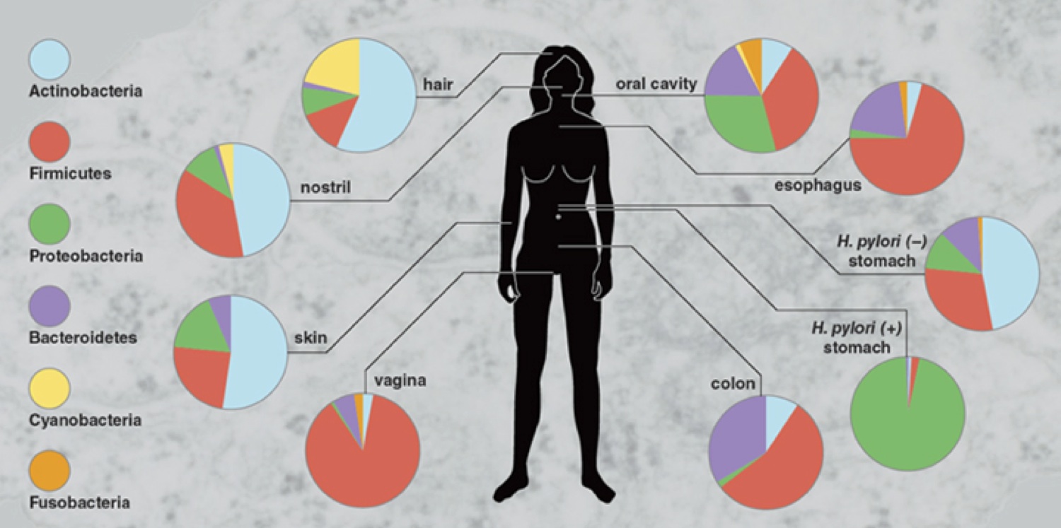 human-microbiome.jpg