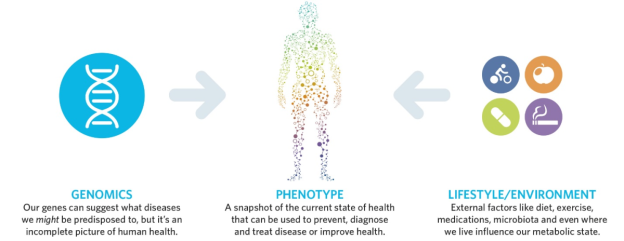 metabolomics-624x241.png