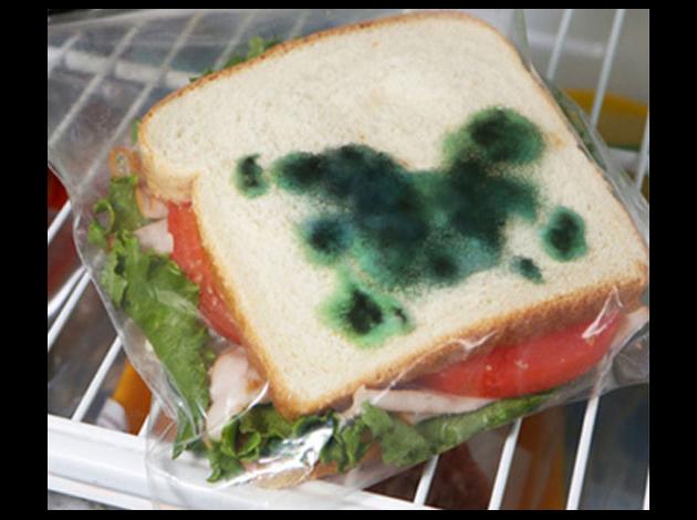 anti-theft-moldy-sandwich-bag.jpg