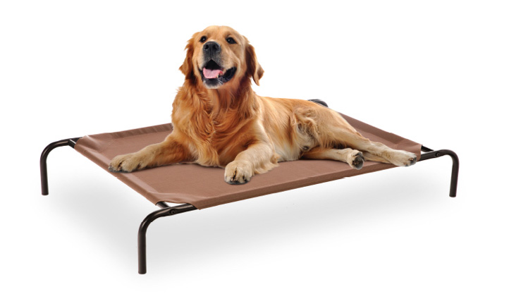 frisco-elevated-pet-beds.jpg