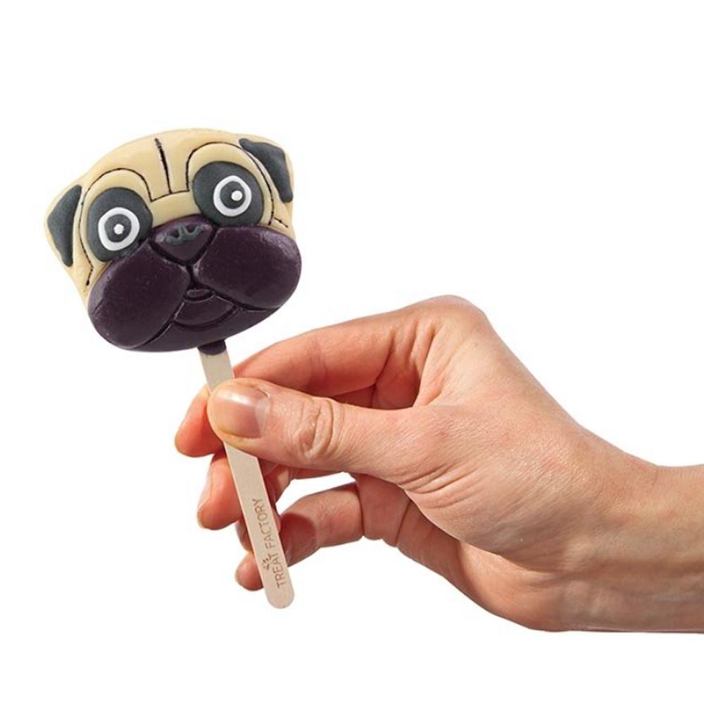 pug_lolly.jpg