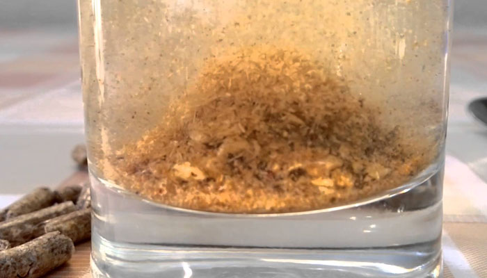 wood-pellet-dissolves-in-water.jpg