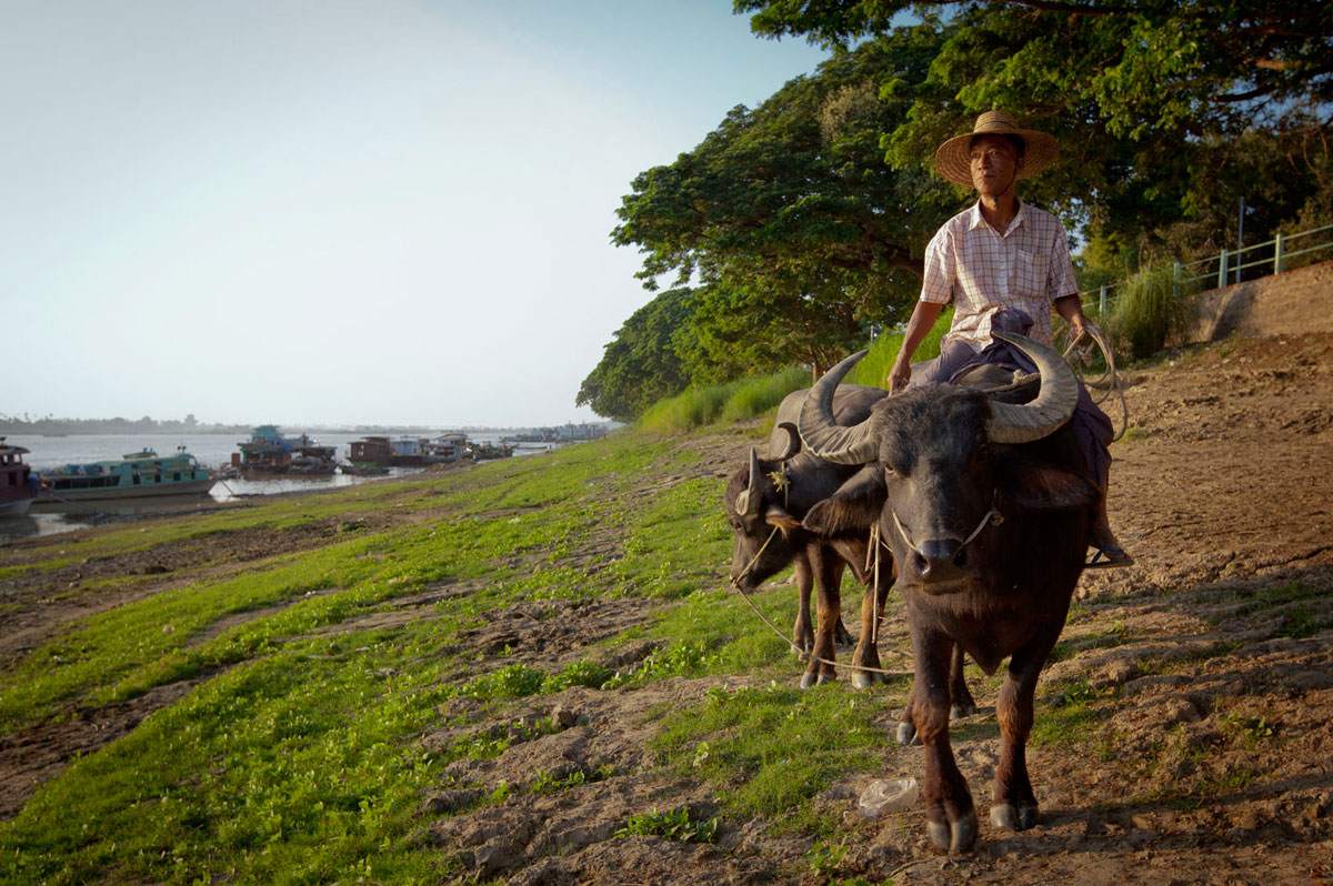 25life-myanmar-agriculture[1].jpg