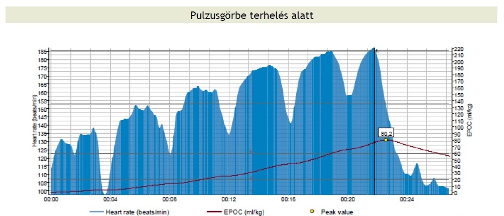 pulzusgorbe.jpg