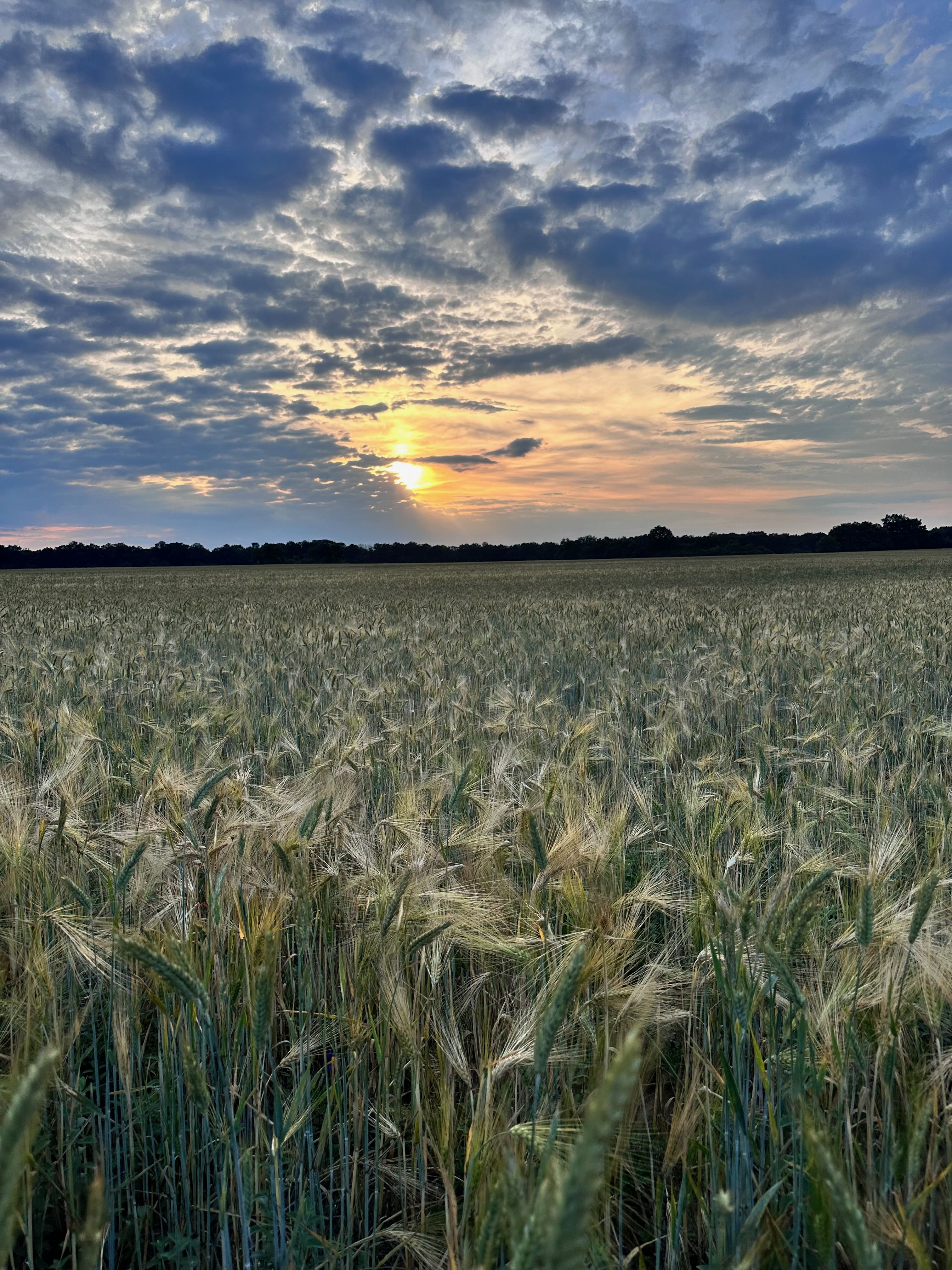 img_5264.jpeg