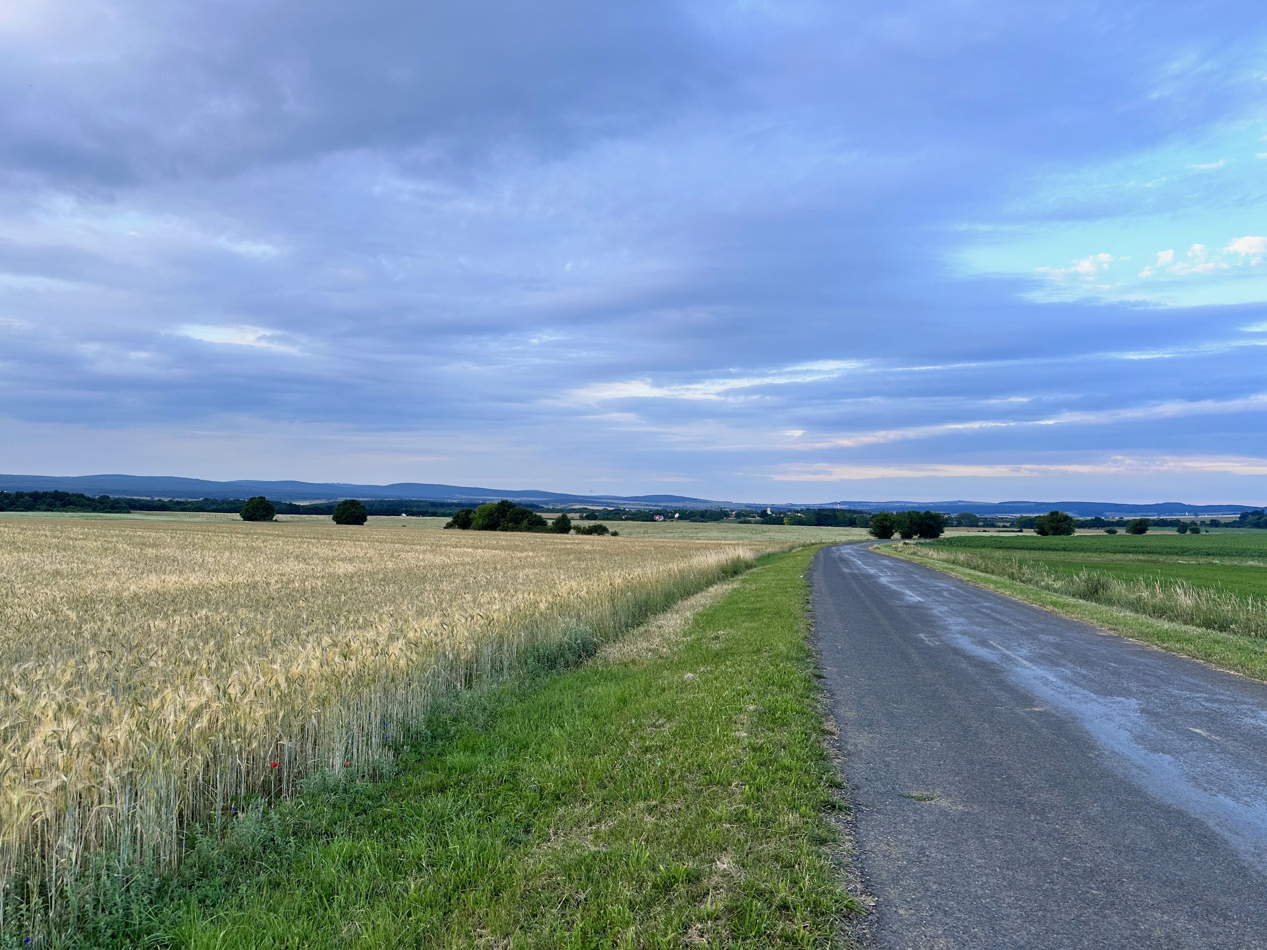 img_5266.jpeg