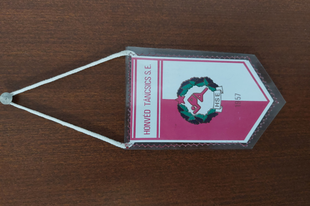 Katonacsapatok Magyarországon VI. - A Honvéd Táncsics SE