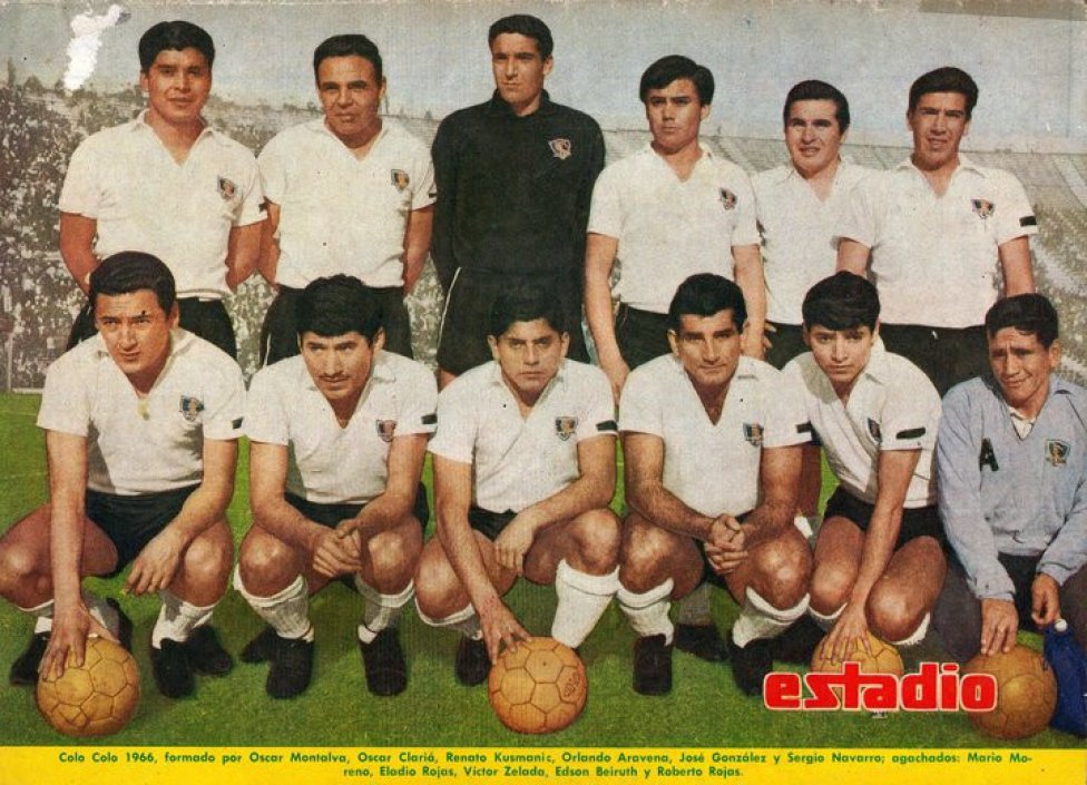 colocolo66.jpg