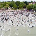 Keszthely triatlon 2017