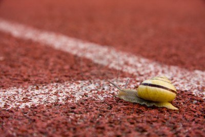 6655364-funny-image-of-snail-running-on-course-lane.jpg