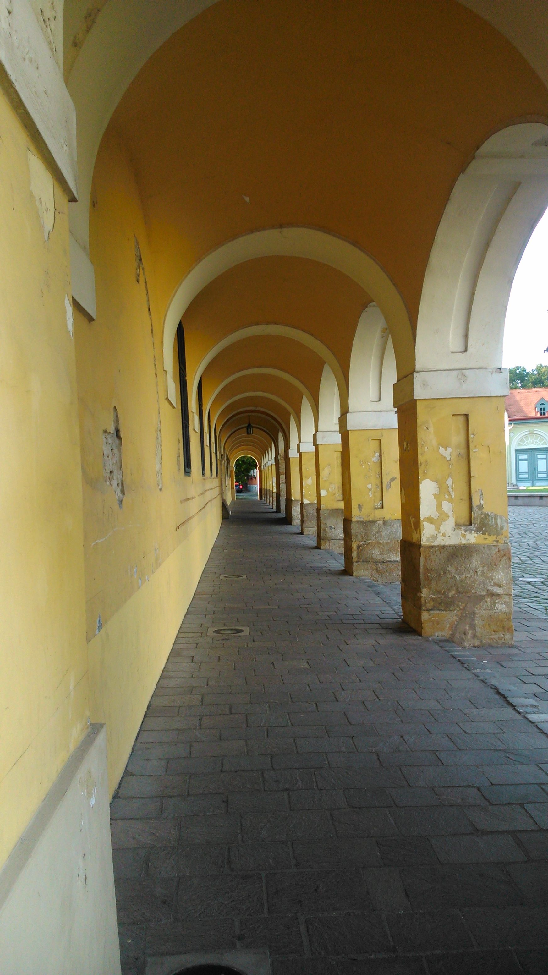 DSC_0515.jpg
