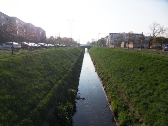 sdc12964.jpg