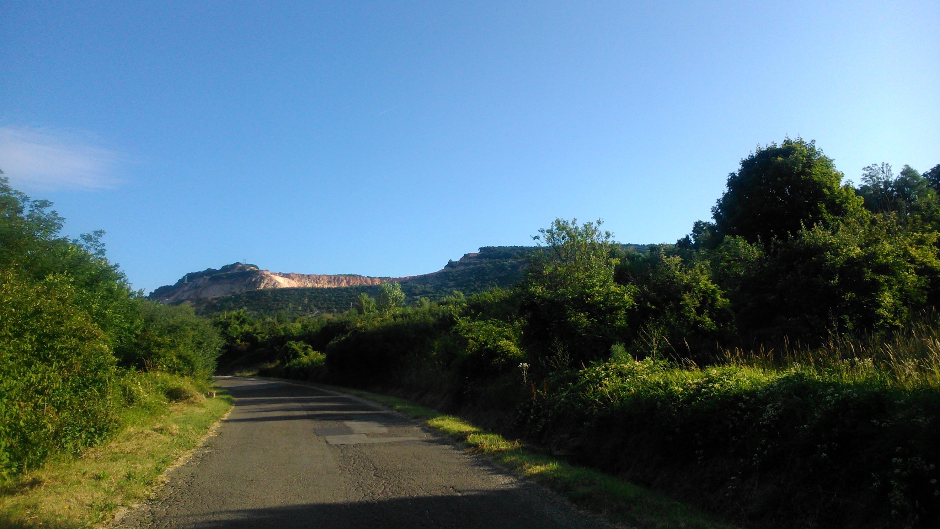 dsc_1098.jpg