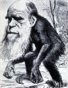 Darwin_monkey_cartoon_SMALL.jpg.png