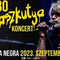 Kopaszkutya koncert Hobóval