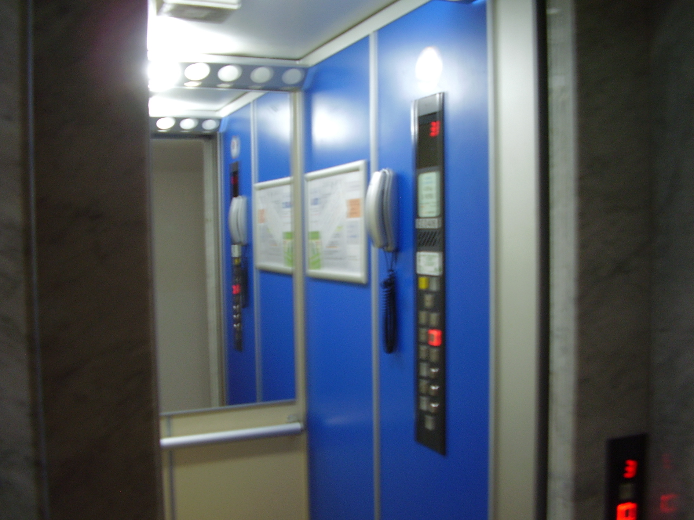 P6100002.JPG