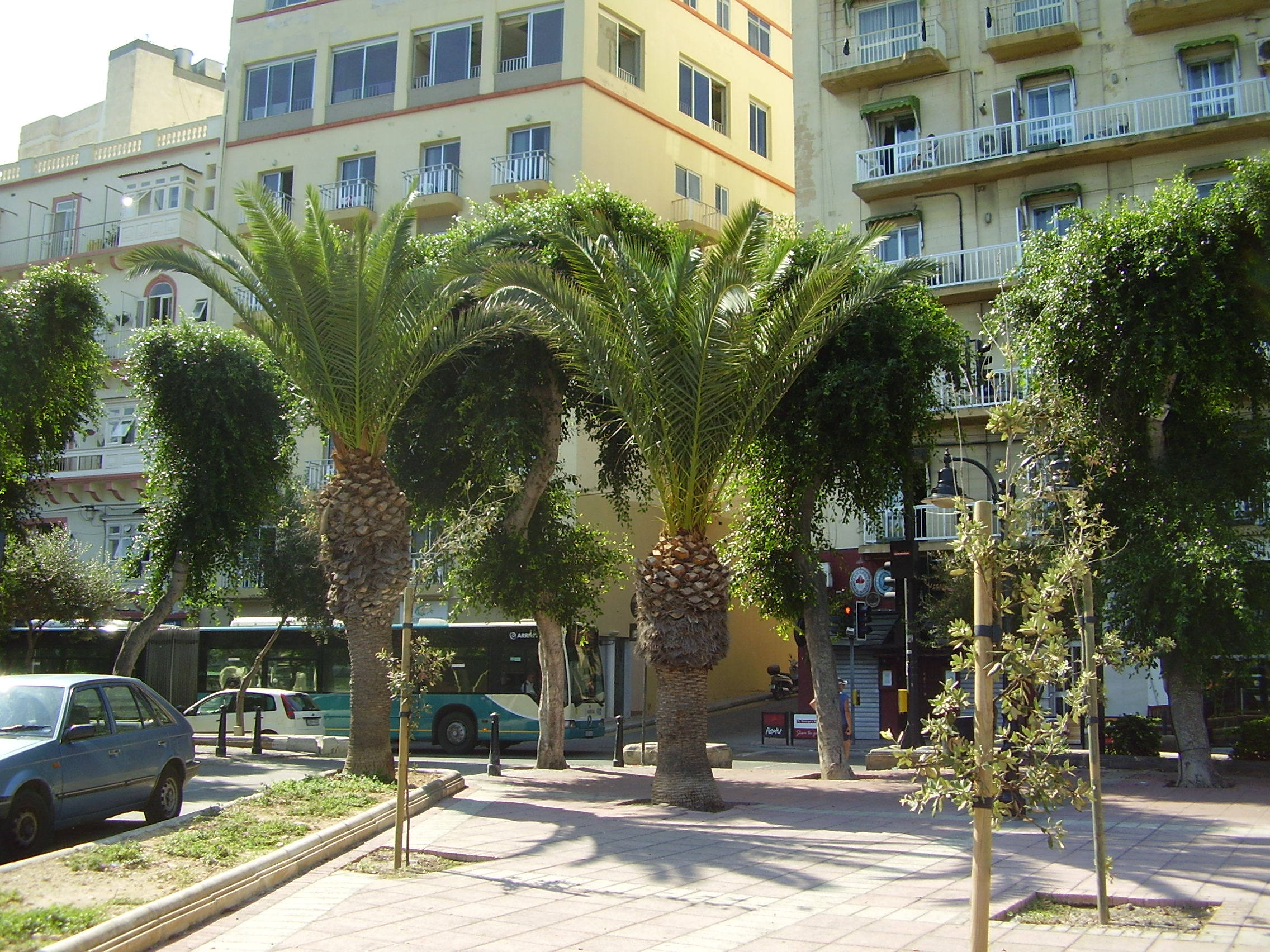 P6100022_1.JPG