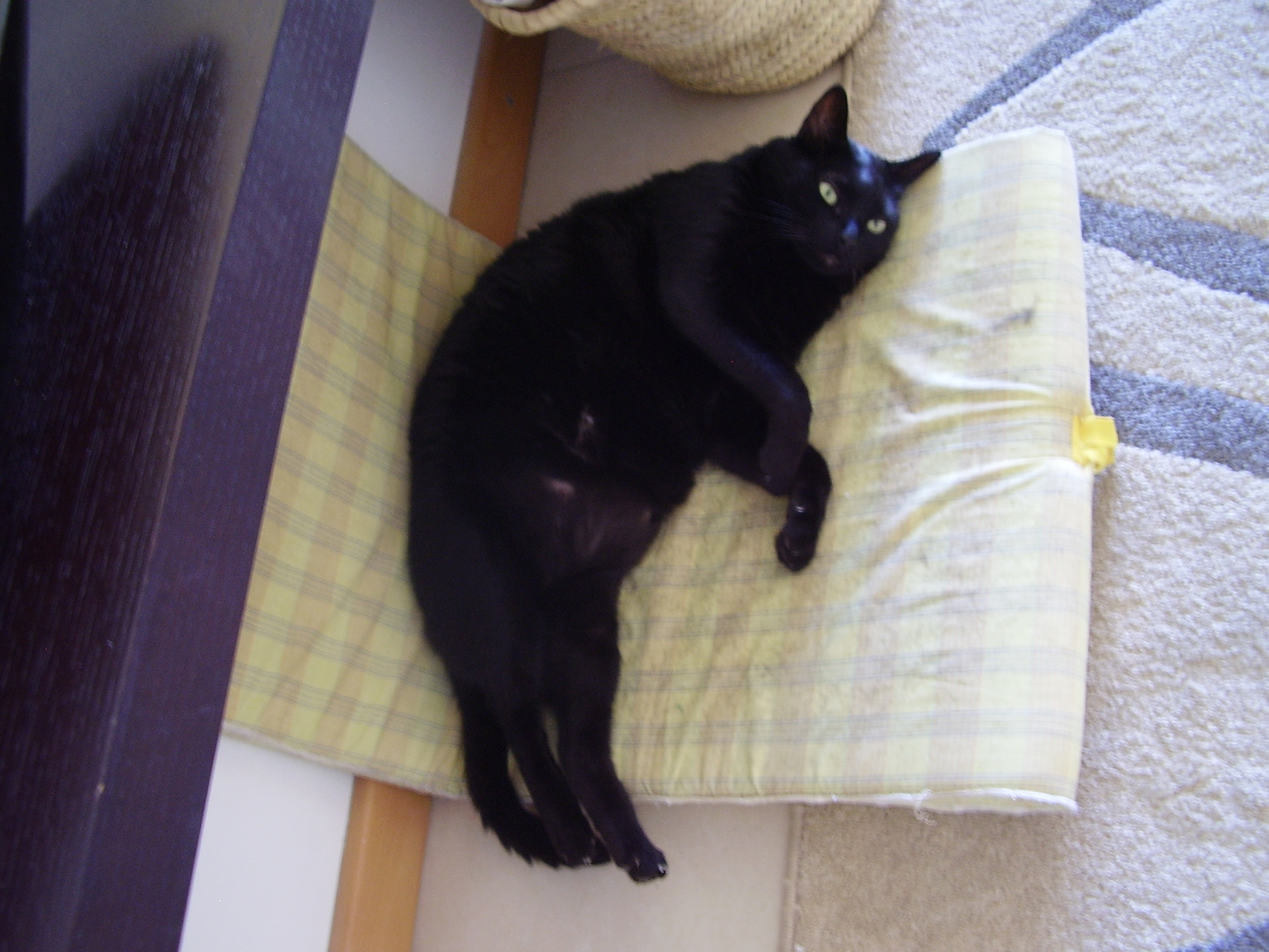 P6100047.JPG