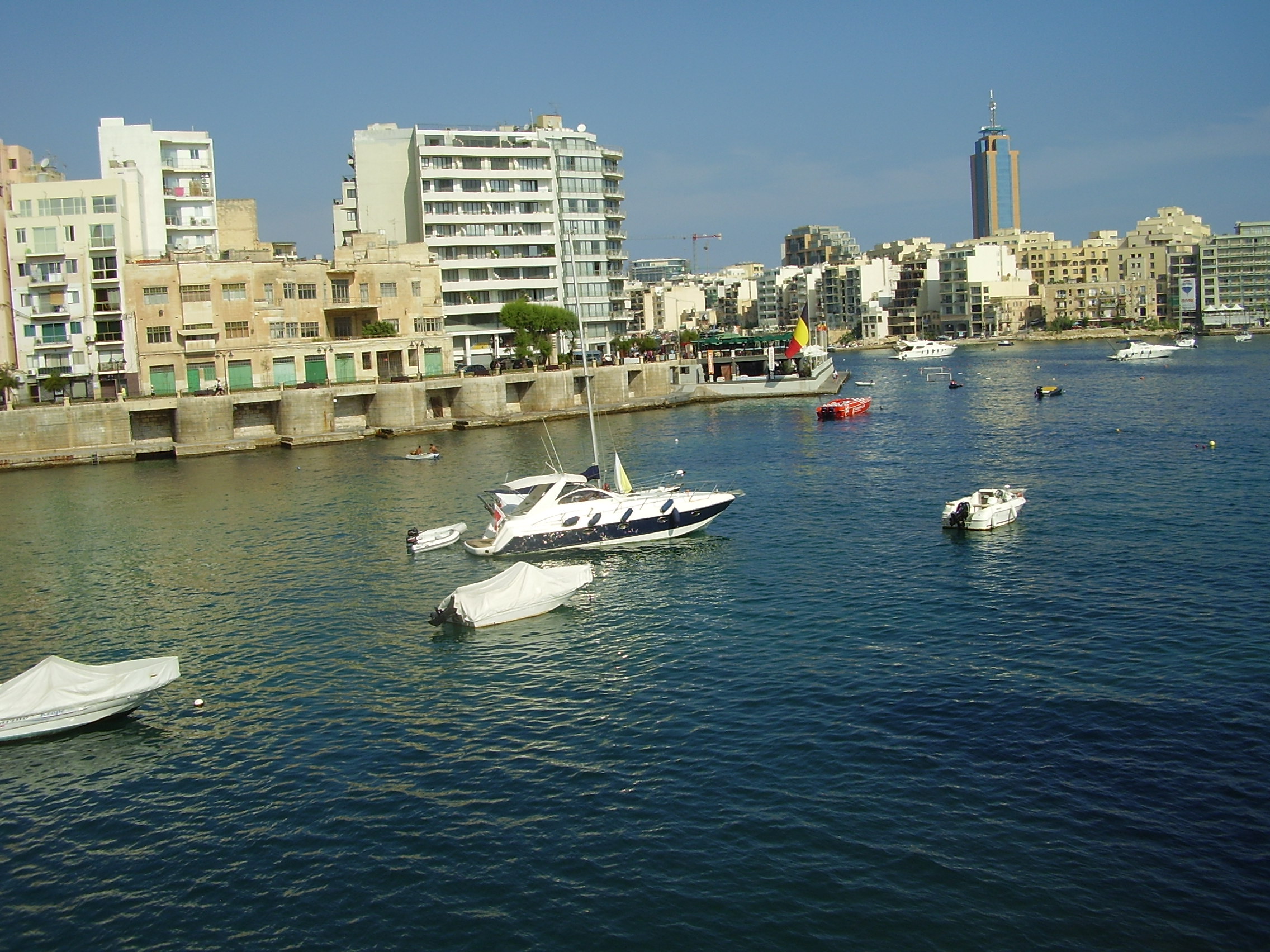 P6110002_1.JPG