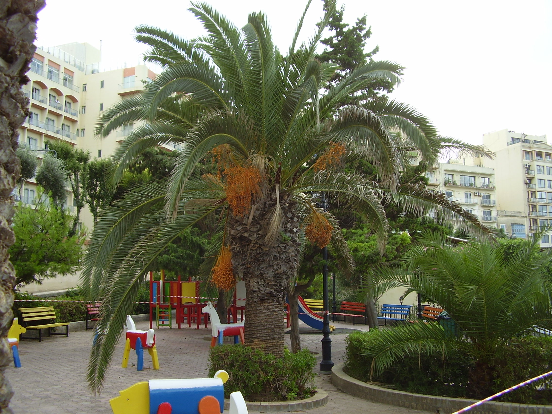 P6160137.JPG