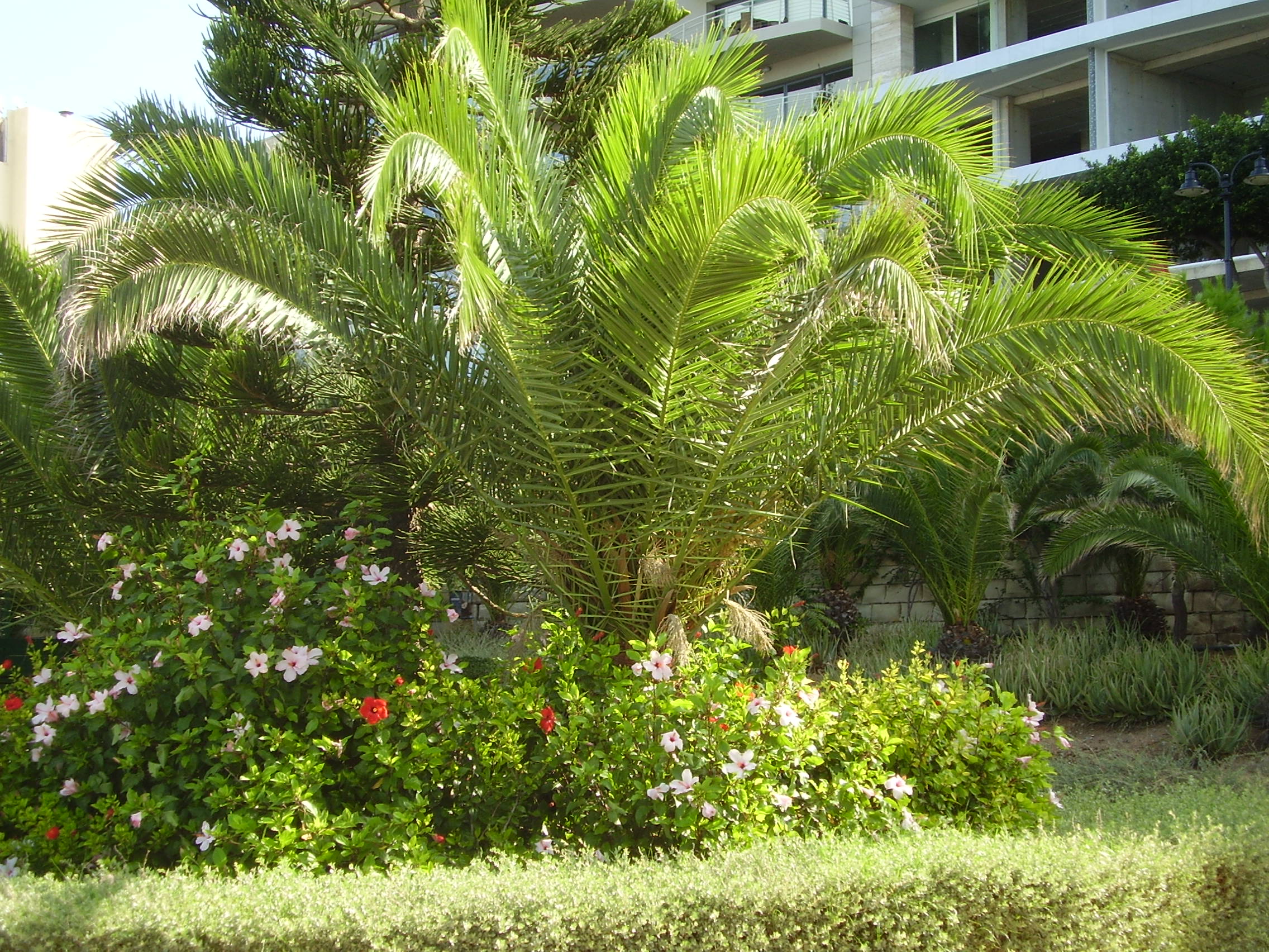 P6200004_1.JPG