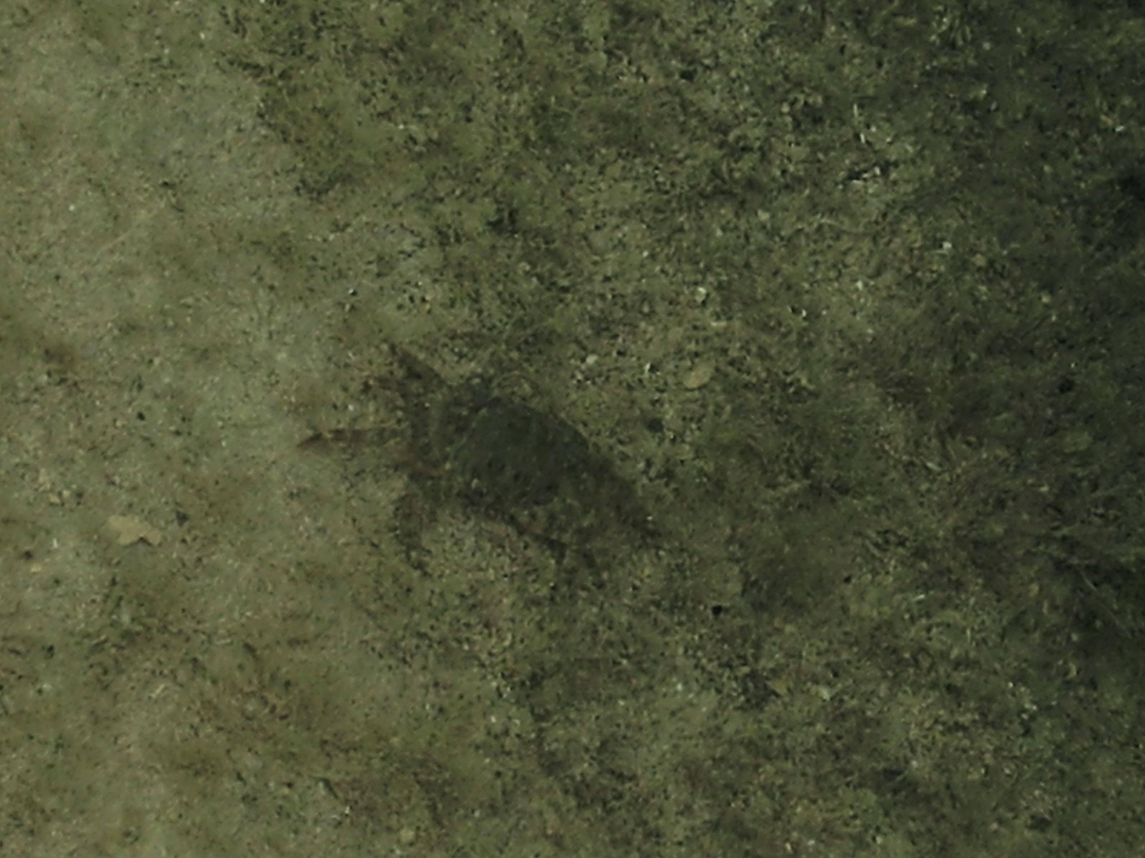 P6200025.JPG