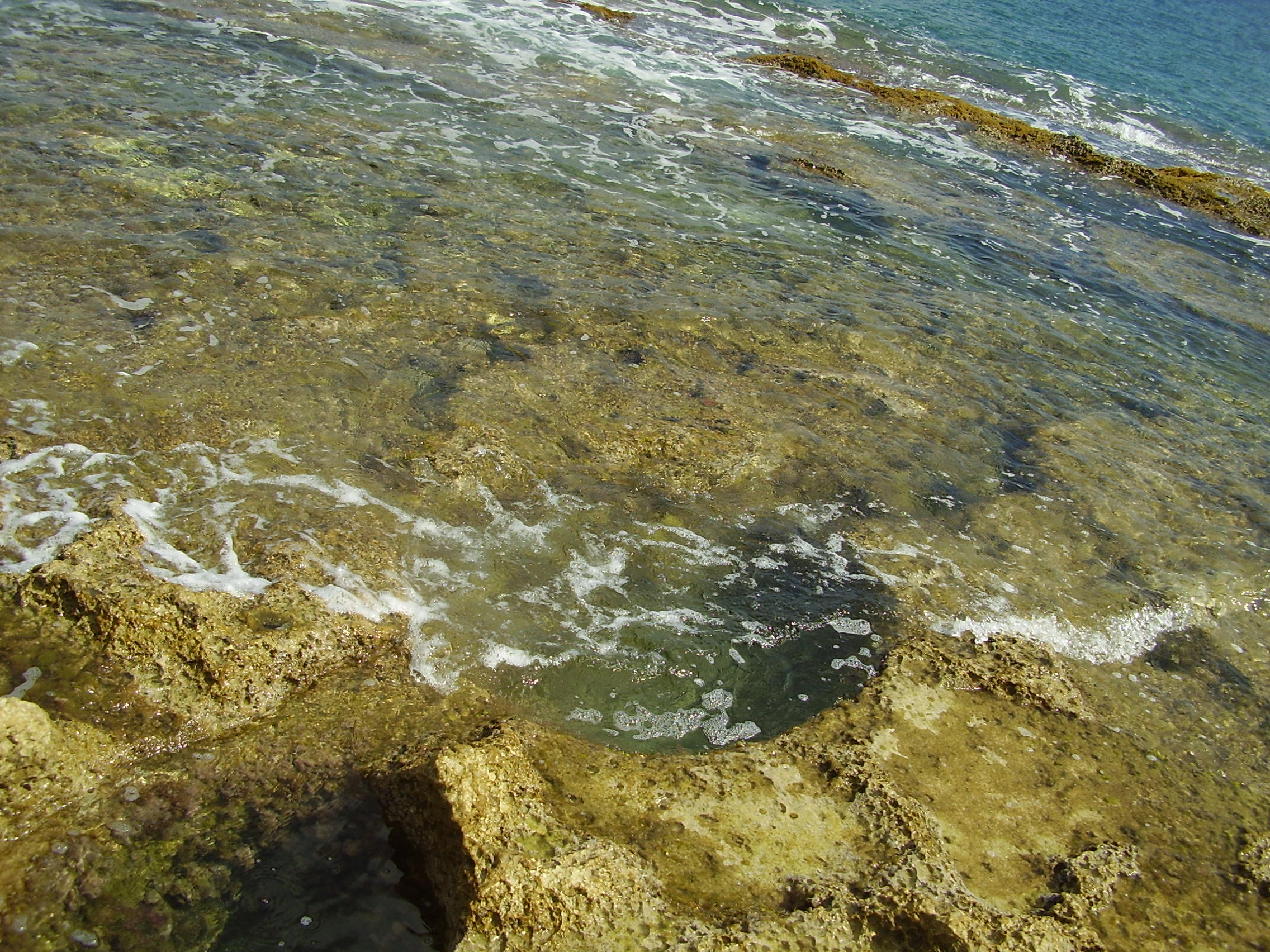 P6200030.JPG