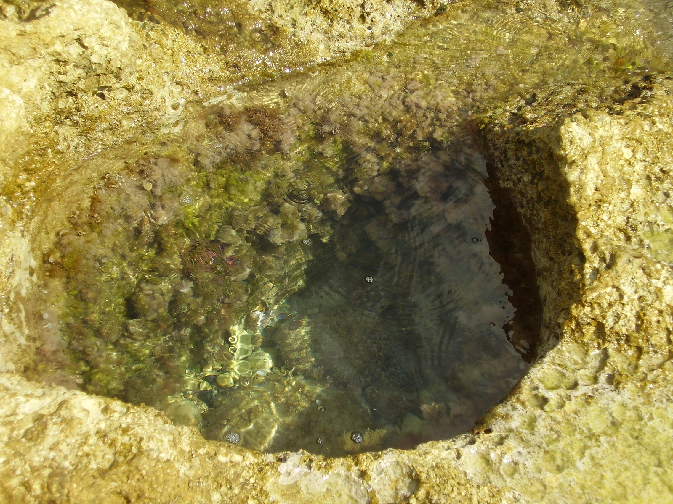 P6200031.JPG