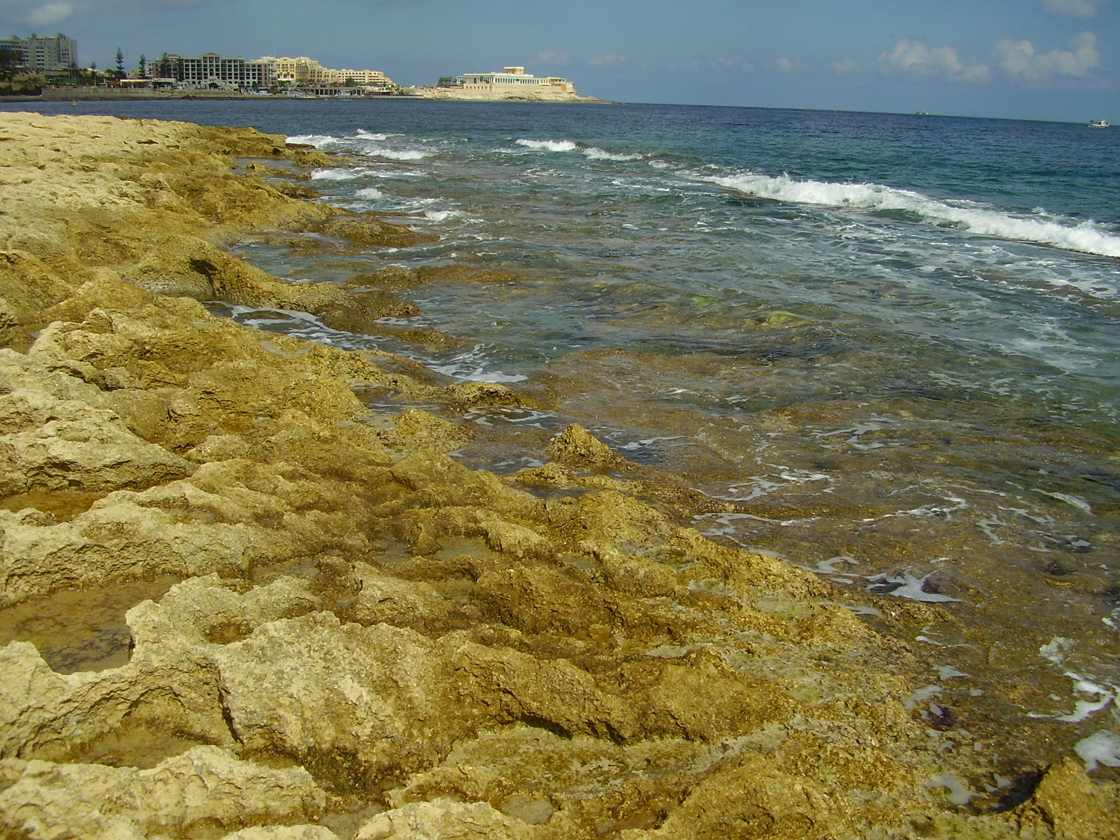 P6200039.JPG